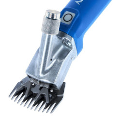 Clippers, Econom CL avims GT824