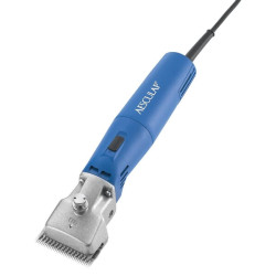 Clippers, Econom II GT474