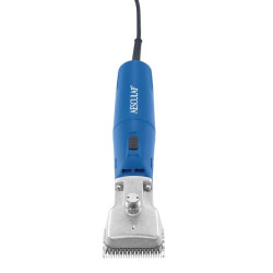 Clippers, Econom II GT474