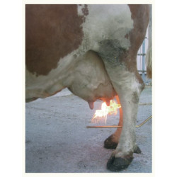 Tešmens plaukų šalinimo priemonė, dujų balionas 3 m VV15675