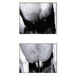 Tešmens plaukų šalinimo priemonė, dujų balionas 3 m VV15675