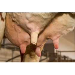 Žiedo tvarstis 6cm 5m 15660KER