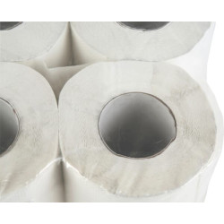 Tešmens popierius, 200 lapų CP11401FA