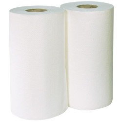 Tešmens popierius sausas ir šlapias 2x200 lapų 1579KER