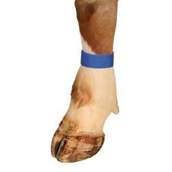 Mėlynos velcro žymėjimo juostos (10 pak.) VV8132