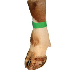 Žalios velcro žymėjimo juostos (10 pak.) VV8133