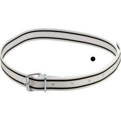 Apykaklė 40mm 1,35cm balta/juoda 20878