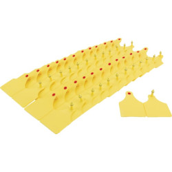 Ausinė, D tipas, 25vnt VV20220