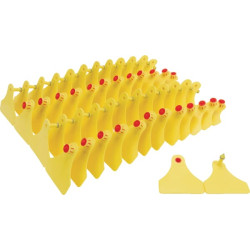 Auskarai F tipo 25 vnt. VV20221