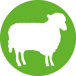 HSW HENKE-JECT® vienkartinės adatos, 1,20 x 40 mm, LL, 100 vnt./pak. 4710012040