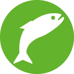 HSW HENKE-JECT® vienkartinės adatos, 0,50 x 16 mm, LL, 100 vnt./pak. 4710005016