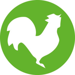 HSW HENKE-JECT® vienkartinės adatos, 1,10 x 30 mm, LL, 100 vnt./pak. 4710011030