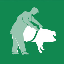 Matavimo juosta gyvūnui VV2191