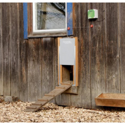 Autom. Vištų durelės, 220x330mm 70547