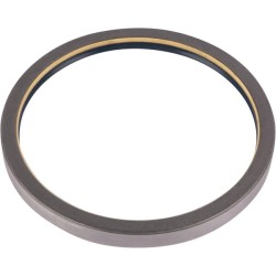 Case - IH CVX1170 247877A1N sandariklis CASSETTE-S2 150x176x15.5 75NBR