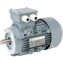 Elektros variklis 1,1 kW 015603