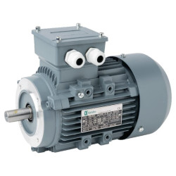 Elektros variklis 0,75 kW 015602