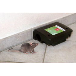 Masalo stotis 22,5x18,5x9,5cm ES6617