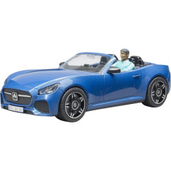 Rodsteris su vairuotoju U03481