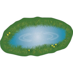 Priedai purvo takeliai ir medžiai S05699