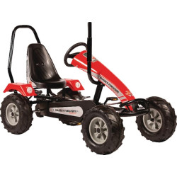Kartingas, Massey Ferguson Roadster, nuo 5 m., Track BF1 by Dino Cars DC57940BF
