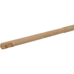 Šieno grėblys su rankena 160 cm x 28 mm 4516KR