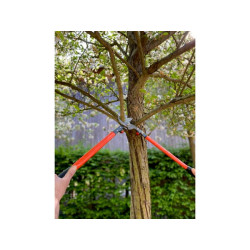 Žirklės papūgos snapui 50cm P1650F