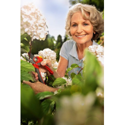 Kiemo apėjimo žirklės, RR 4000 73CFA004650