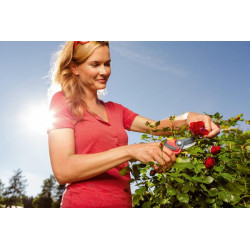 Kiemo apėjimo žirklės, RR 4000 73CFA004650