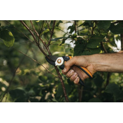 Genėjimo žirklės, priekaliniai genėtuvai, „Solid“ didelės, P361 1057165