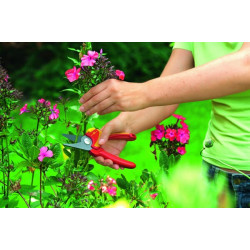 Vidaus apvedimo žirklės, RR 1500 73CFA001650