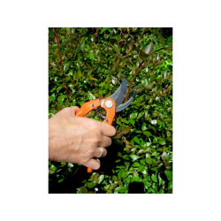 Genėjimo žirklės P12120F