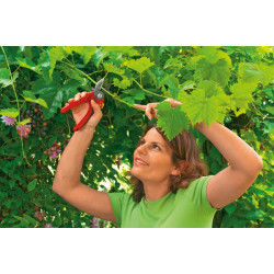 Priekinio kiemo priekalinės žirklės, RS 2500 73CFA003650