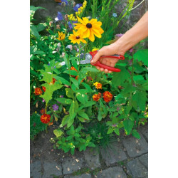 Priekinio kiemo priekalinės žirklės, RS 2500 73CFA003650