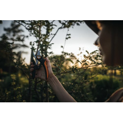 Genėjimo žirklės, apeinamieji genėtuvai, „Plus PowerLever“, P721 1057170