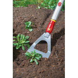 DH-M olandiškas kaplis 71AAA014650