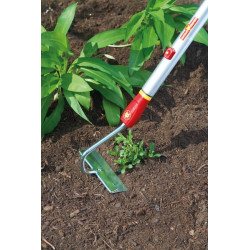 Gėlių kaplis, HU-M 15 71AAA011650