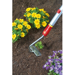 Gėlių kaplis, HU-M 10 71AAA010650