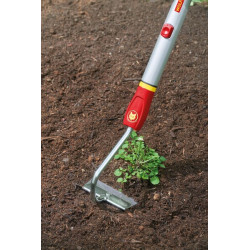 Gėlių kaplis, HU-M 10 71AAA010650