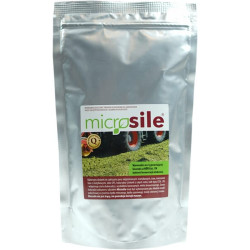 Siloso priedas 16170620500