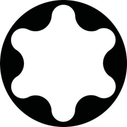 Torx® raktas 30 89S30