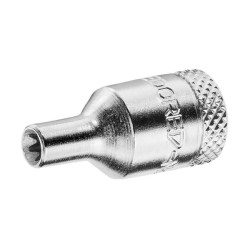 Torx lizdo rakto įdėklas 1/4" DPTX20E8