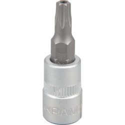 Atsuktuvo antgalis, 1/4" Torx TX 25, 18060066025KR