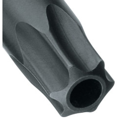 Lizdo rakto įdėklas Torx 1/2" DPITX19BT50