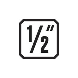 Kojinės įvorė 1/2" XZN 12 mm 12 vnt. DPINX1912