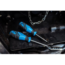 Atsuktuvas PZ2 100 mm SC2160PZ2