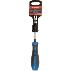 Kryžminis atsuktuvas PZ1 x 100 mm 180843201100KR