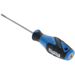 Atsuktuvas Torx T25 100mm SC2163BTXT25