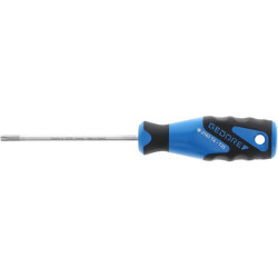 Atsuktuvas Torx T25 100mm SC2163BTXT25