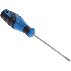 Atsuktuvas Torx T20 100 mm SC2163BTXT20